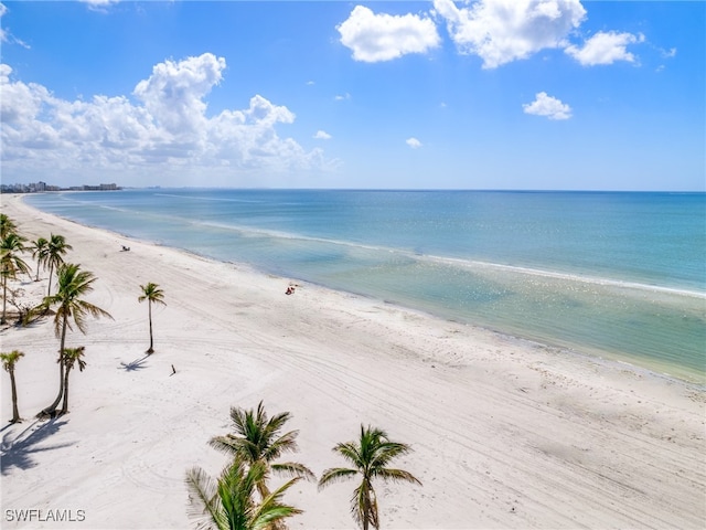 water view featuring a beach view