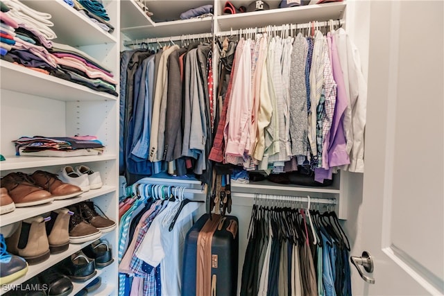 view of spacious closet