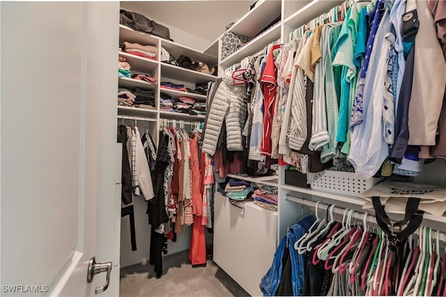 spacious closet with light colored carpet