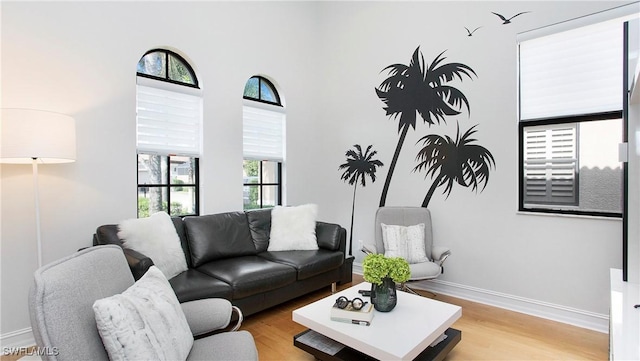 living room with plenty of natural light and light hardwood / wood-style floors