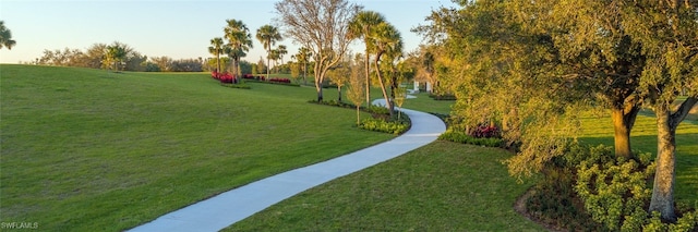 view of home's community with a lawn