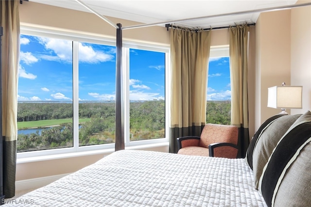 bedroom with a water view and multiple windows