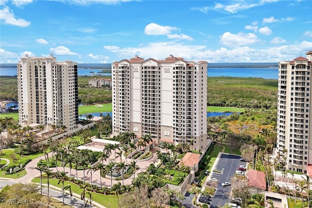 aerial view with a water view