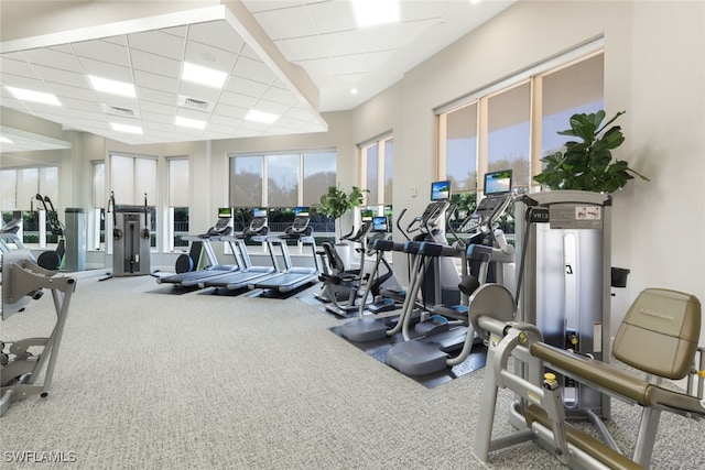 gym with a paneled ceiling and carpet flooring