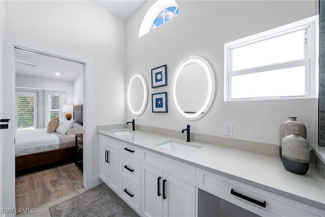 bathroom with wood-type flooring and vanity