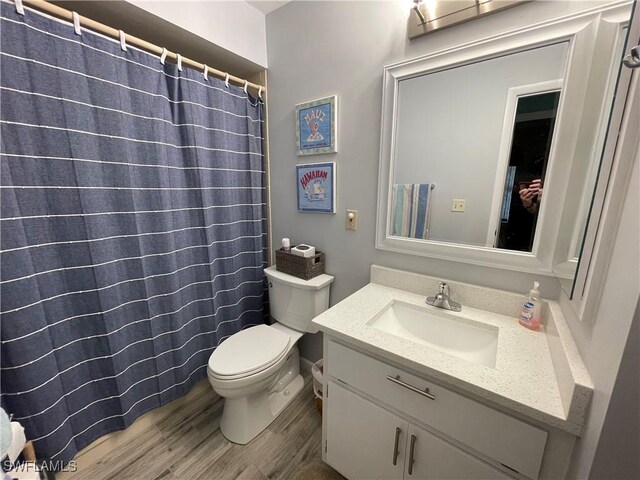 bathroom featuring hardwood / wood-style flooring, vanity, and toilet