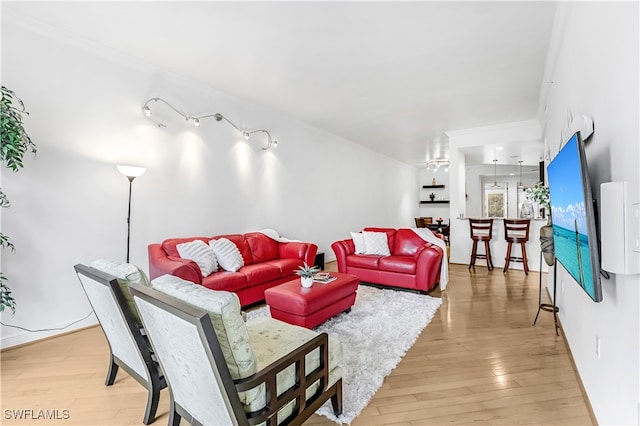 living room featuring light wood-type flooring