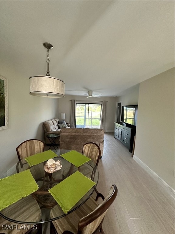 dining space with ceiling fan and light hardwood / wood-style floors