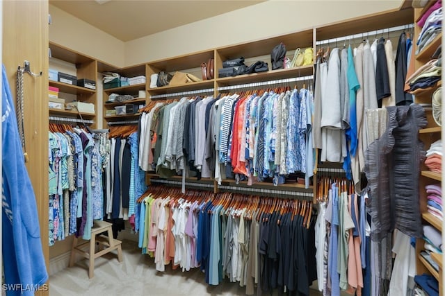 spacious closet with carpet