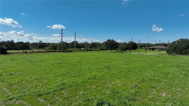 view of yard featuring a rural view