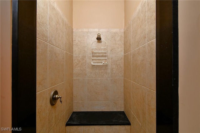 details featuring tiled shower