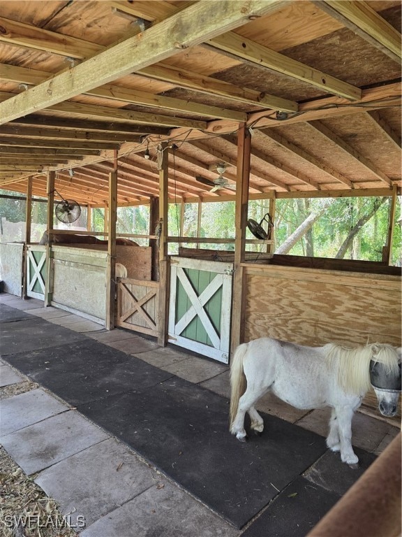 view of horse barn