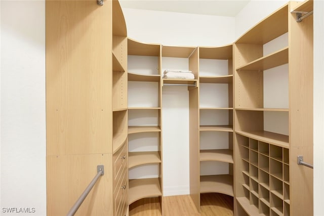 spacious closet with wood-type flooring