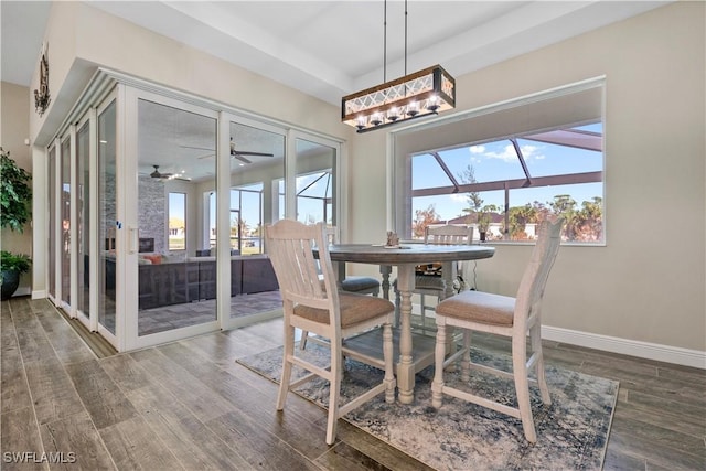 dining room featuring dark wood-type flooring and ceiling fan