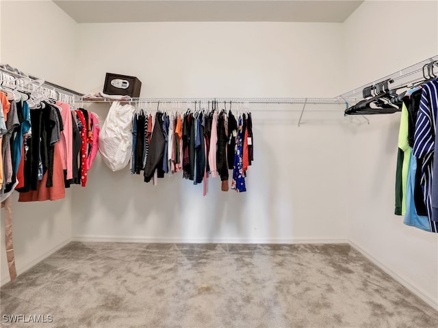 spacious closet with carpet floors