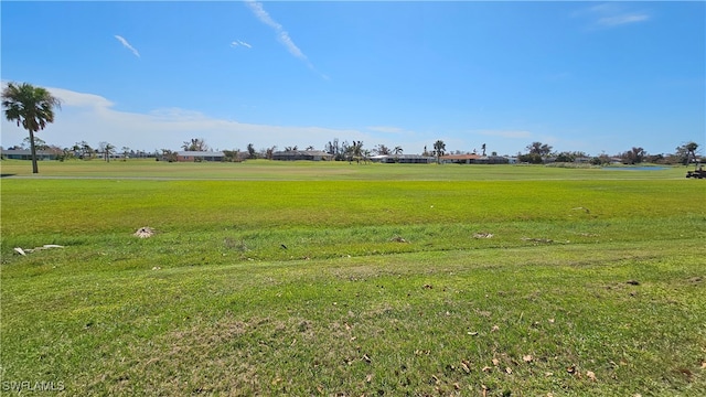 view of local wilderness