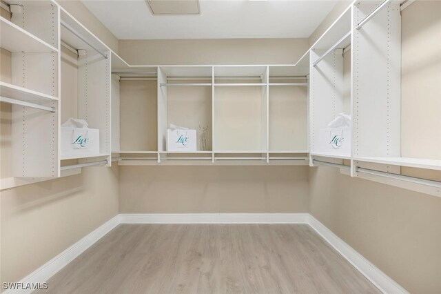 walk in closet with wood-type flooring