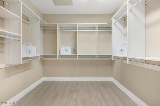 spacious closet featuring hardwood / wood-style flooring