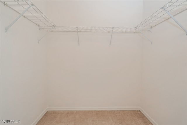 spacious closet with light colored carpet