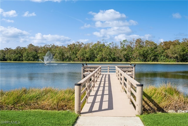 dock area with a water view