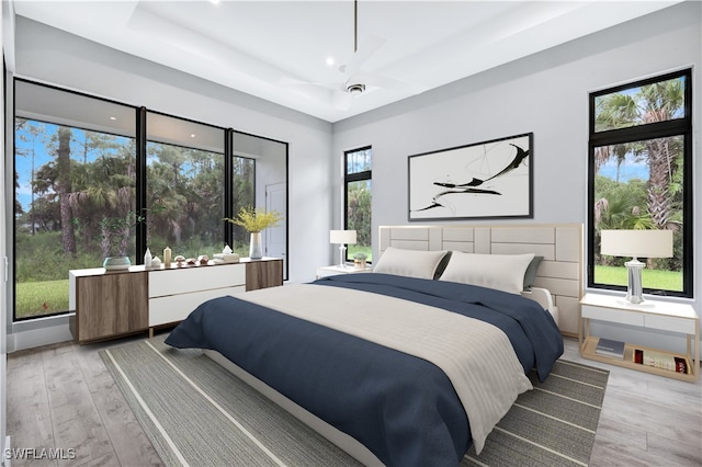 bedroom with light hardwood / wood-style flooring, multiple windows, and a raised ceiling