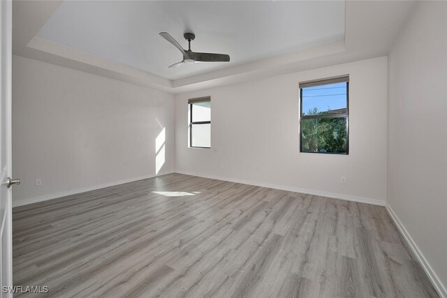 spare room with light hardwood / wood-style floors, a healthy amount of sunlight, and a raised ceiling