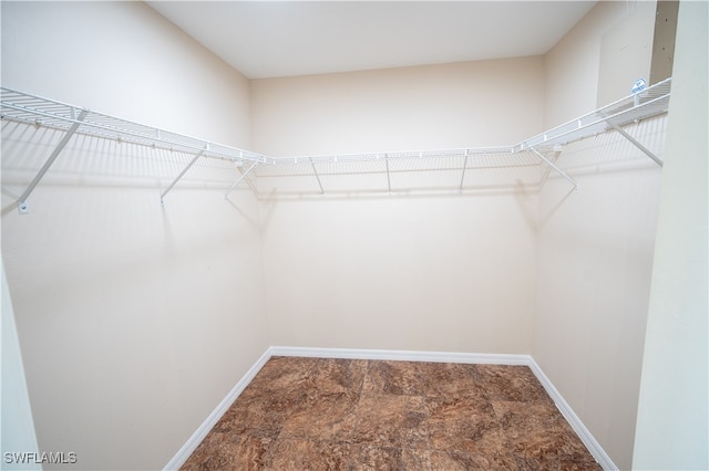 spacious closet with carpet