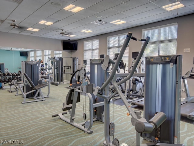 gym featuring a paneled ceiling and light carpet