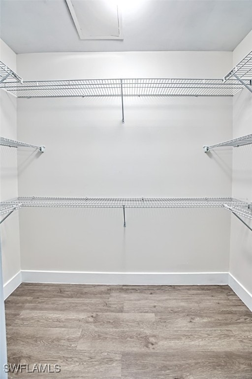 11701 Olivetti Ln Unit 307, Fort Myers, FL 33908 - walk in closet with wood finished floors