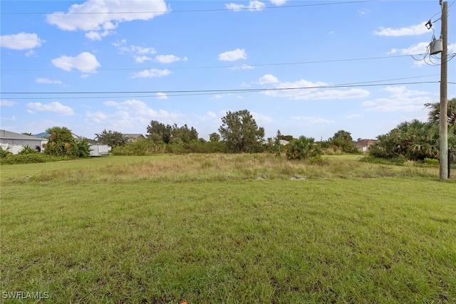 view of yard