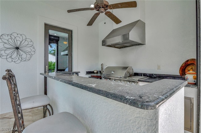 kitchen with ventilation hood and ceiling fan