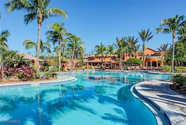 view of swimming pool