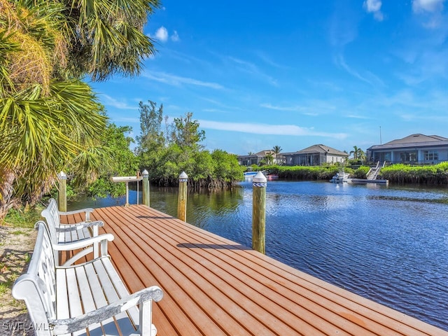 dock area with a water view