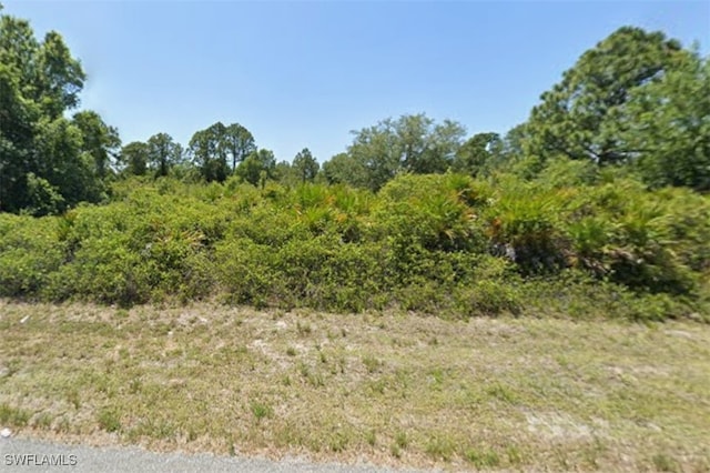 316 Luke Ave S, Lehigh Acres FL, 33974 land for sale