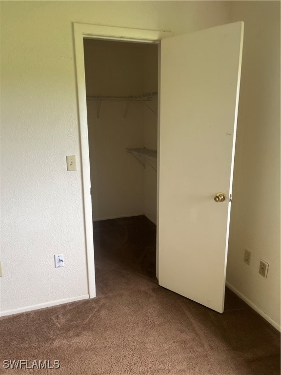 walk in closet featuring carpet floors