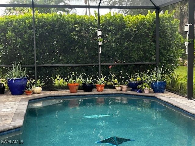 view of swimming pool with a lanai