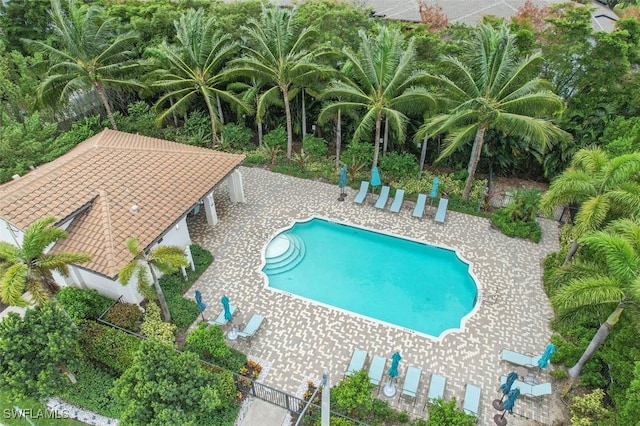 view of swimming pool with a patio