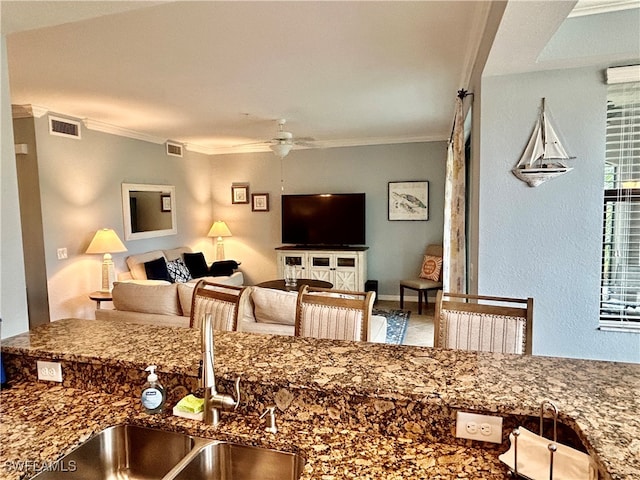 kitchen featuring sink, crown molding, and ceiling fan