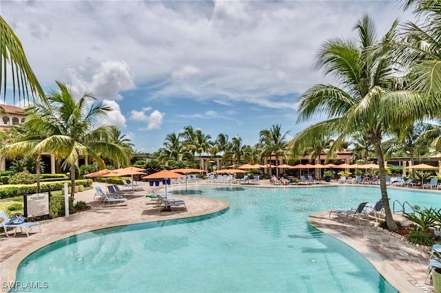 view of pool with a patio