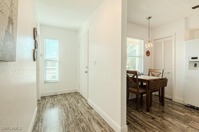 hallway featuring dark hardwood / wood-style flooring