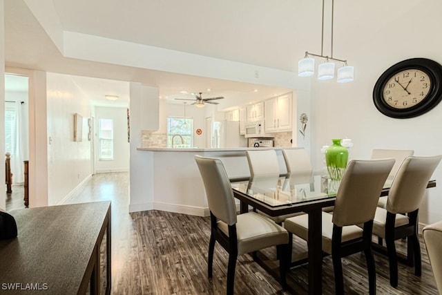 dining space with ceiling fan and dark hardwood / wood-style floors