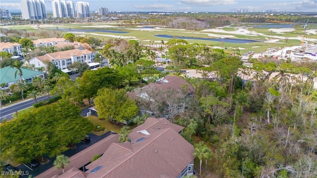 bird's eye view