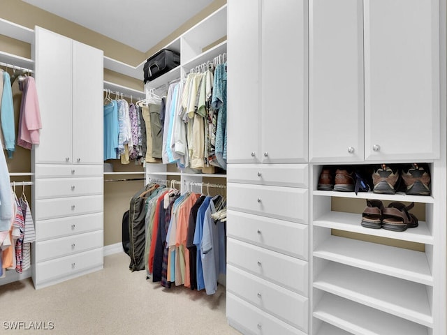 spacious closet featuring light colored carpet