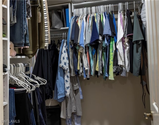 view of spacious closet