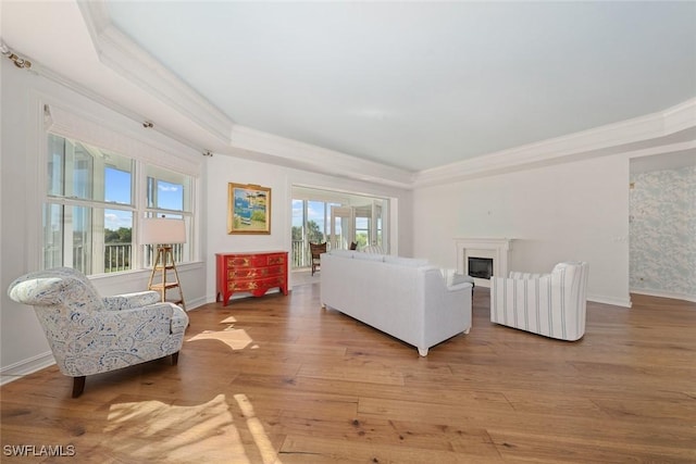 living room with wood-type flooring, a tray ceiling, and crown molding