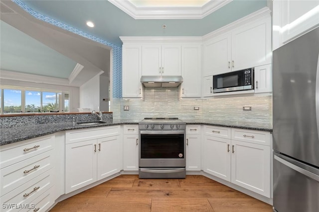 kitchen featuring white cabinetry, sink, crown molding, and appliances with stainless steel finishes