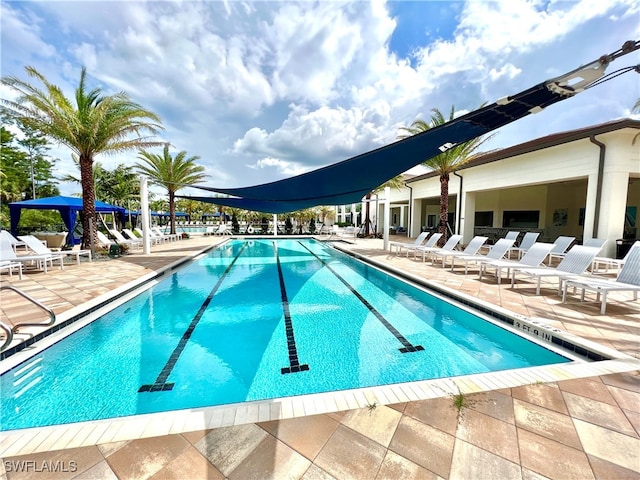 view of pool with a patio area