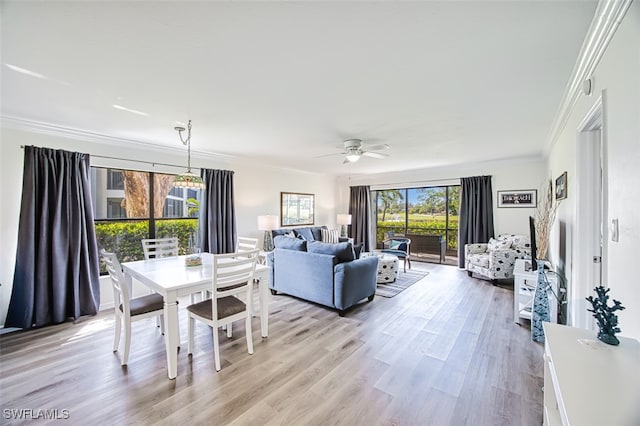 dining space featuring light hardwood / wood-style flooring, ornamental molding, a wealth of natural light, and ceiling fan