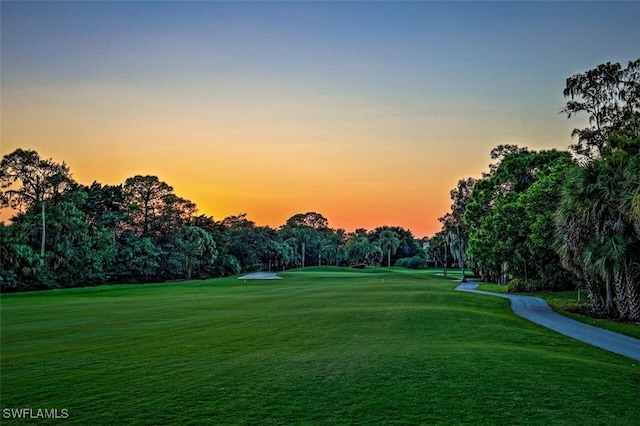 view of home's community with a lawn