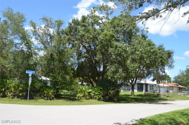 view of community with a yard